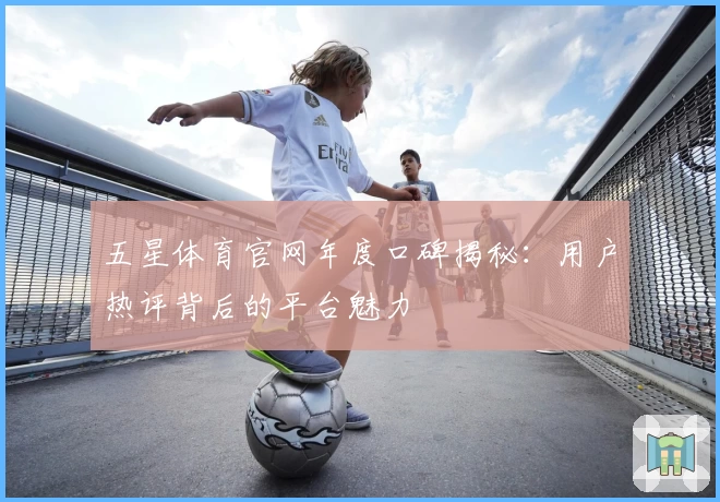 五星体育官网年度口碑揭秘：用户热评背后的平台魅力