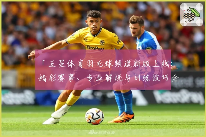 「五星体育羽毛球频道新版上线:精彩赛事、专业解说与训练技巧全覆盖」