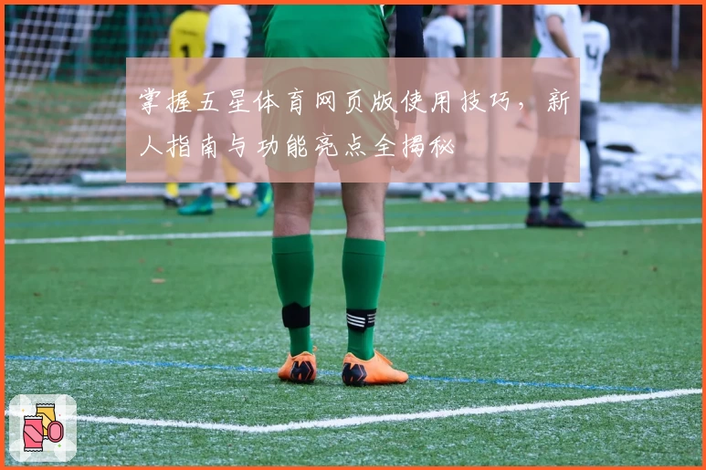 掌握五星体育网页版使用技巧，新人指南与功能亮点全揭秘
